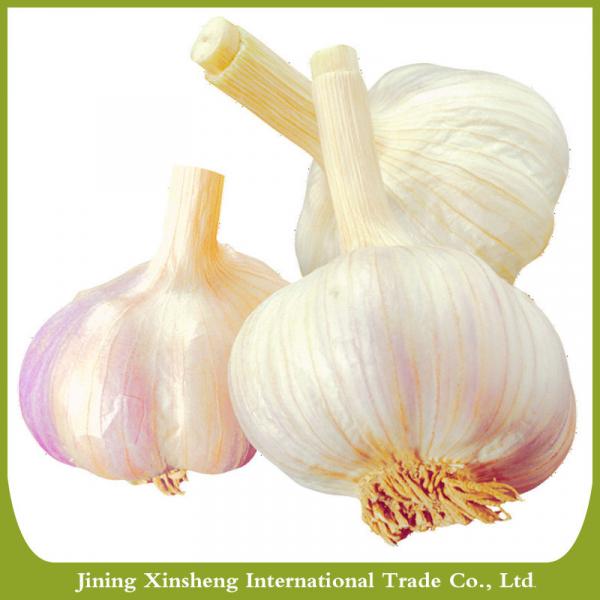 Chinese new fresh garlic red #1 image