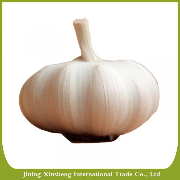 Chinese new fresh garlic red #2 image