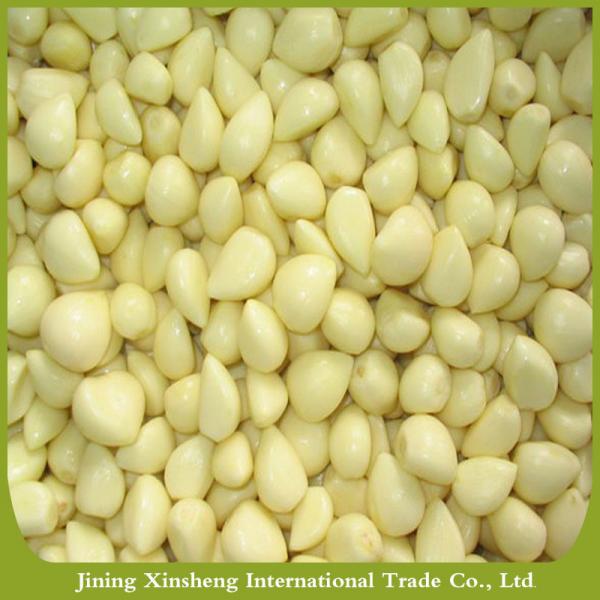 China peeled garlic in brine #1 image