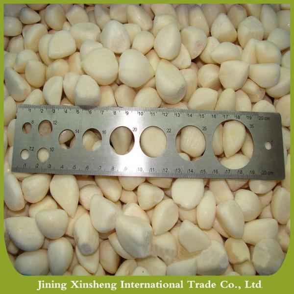 China peeled garlic for sale #2 image