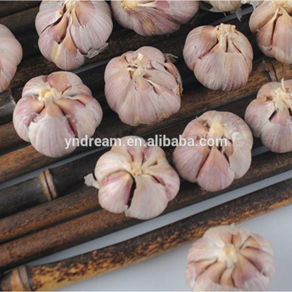 2017 best selling white fresh garlic price in China cheap price wholesale #6 image