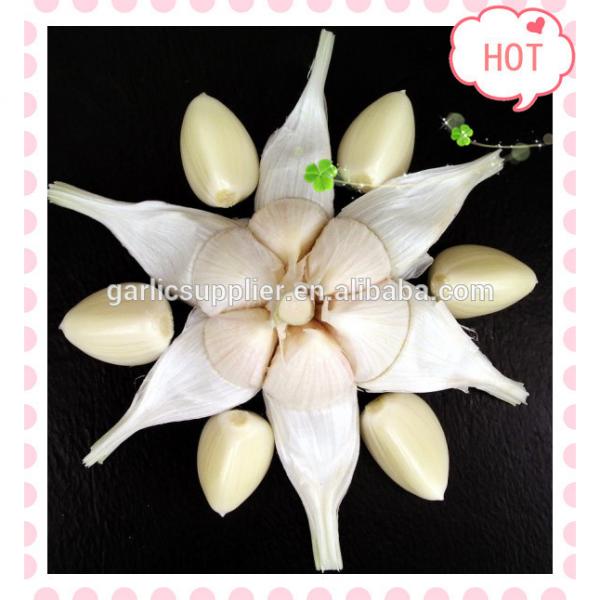 PURE WHITE GARLIC NEW CROP #4 image