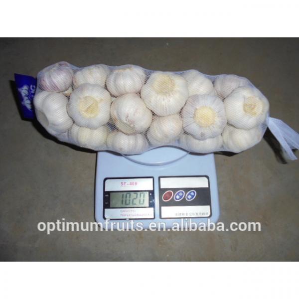 China garlic 1kg bag garlic price #2 image