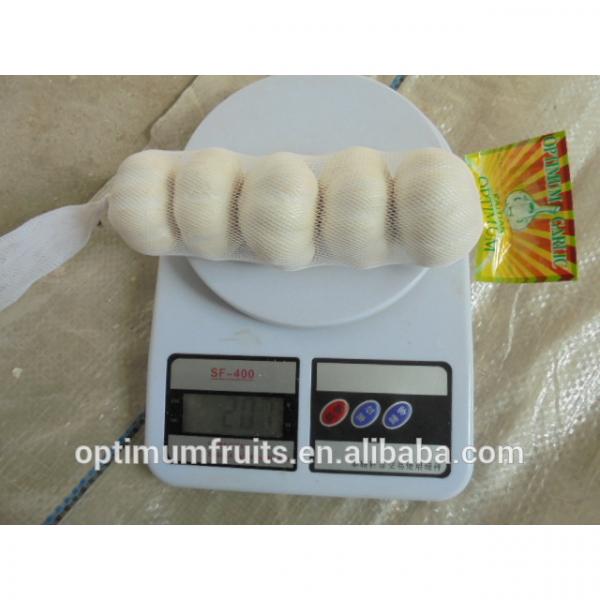 Bulk Jinxiang garlic for sale white garlic price #3 image