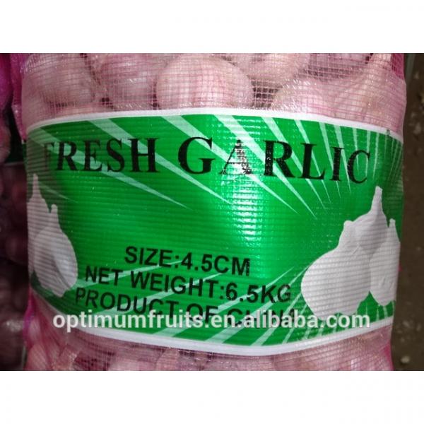 China fresh garlic specification size 4.5-5.0cm #2 image