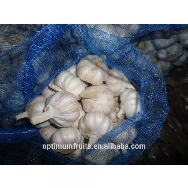 China fresh garlic specification size 4.5-5.0cm #4 image