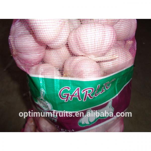 China garlic market price per ton 2017 #1 image