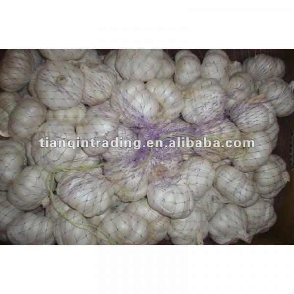 2017 china white garlic price #1 image