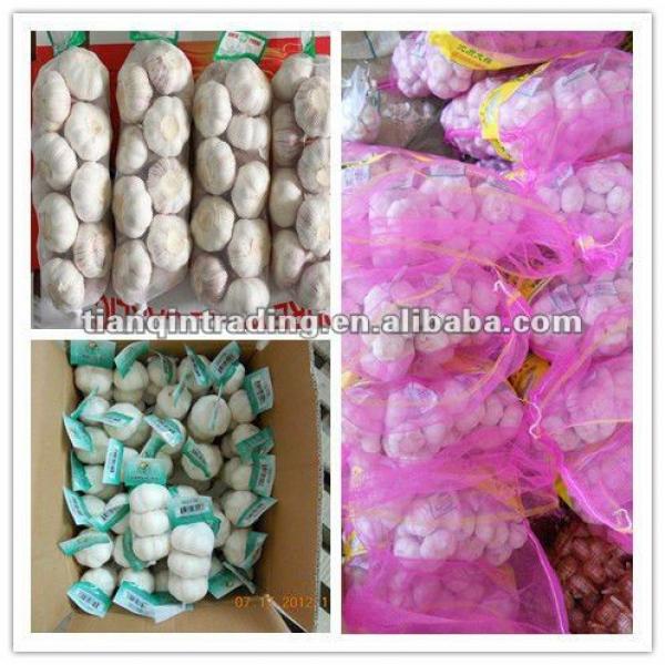 2017 fresh Chinese galic cheap price #1 image