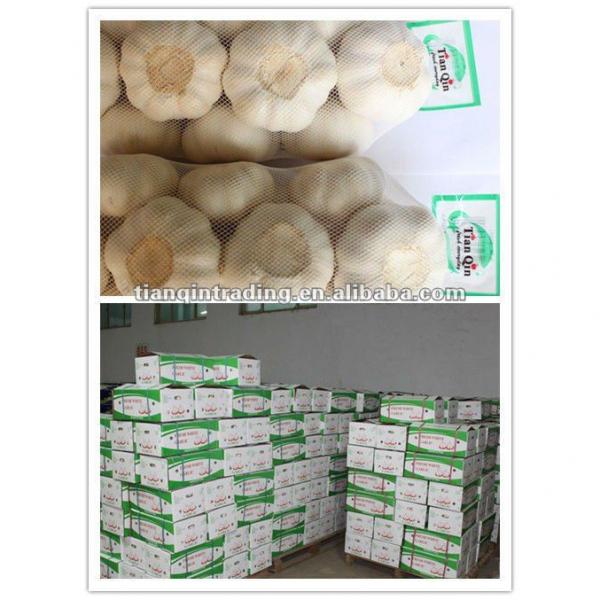 2017 Chinese new crop garlic #1 image