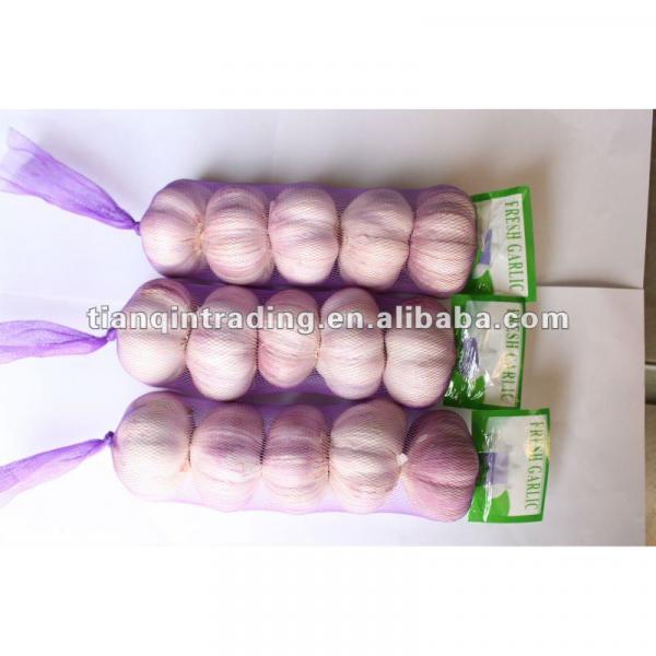 2017 China fresh red garlic #1 image