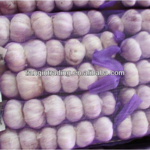 Chinese garlic 2017 price #1 image