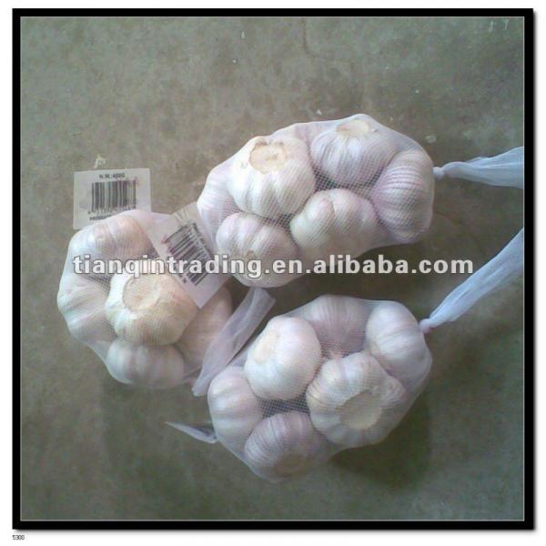 2017 new crop garlic #1 image