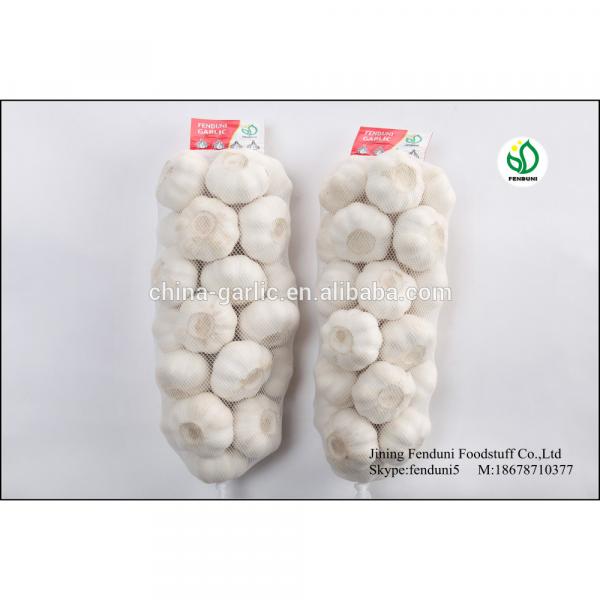 normal white garlic of 2017 crop size 5.0cm #3 image