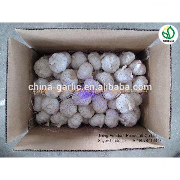 chinese natural garlic on sale garlic benifit for health fresh garlic #2 image