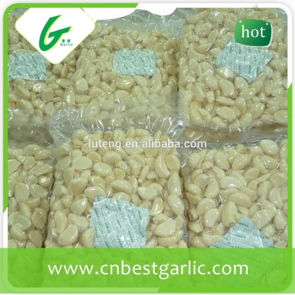 2014 new crop peeled garlic exporters from china #4 image