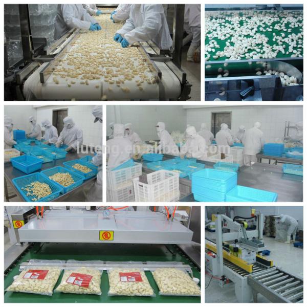 Exporter of Peeled Garlic Vacuum Pack #1 image