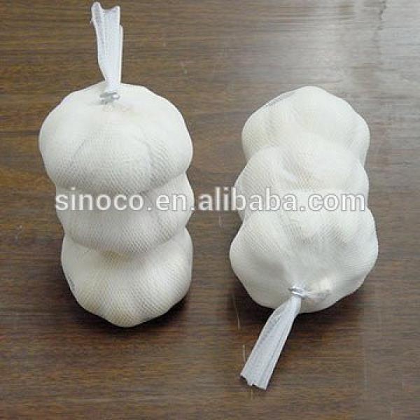 cold store normal white garlic crop 2017 #2 image