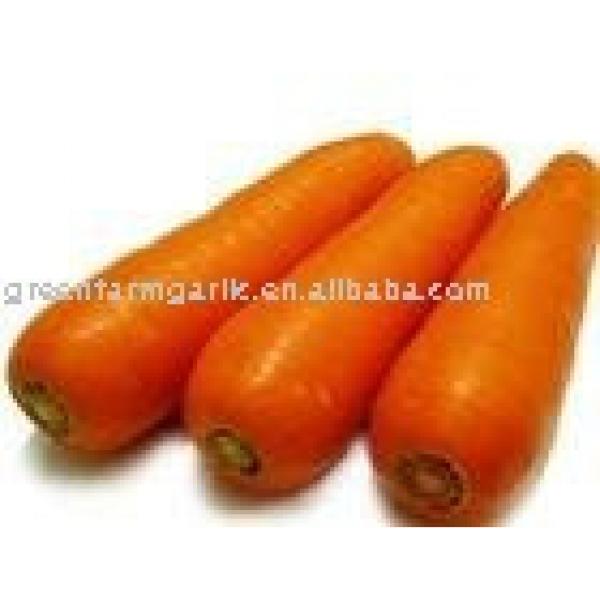 new fresh carrot 2017 price #1 image