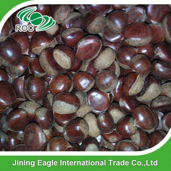 Chinese best pricing fresh raw organic chestnuts #1 image