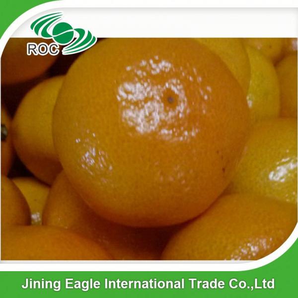 Sweet fresh nanfeng small Chinese baby mandarin orange #1 image