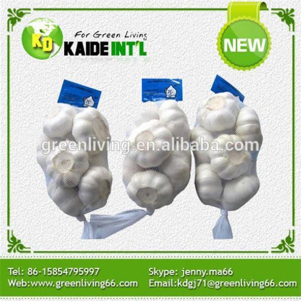 world best selling wholesale garlic importers #1 image