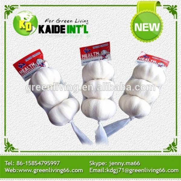 trade assurance supplier wholesale garlic planter #1 image