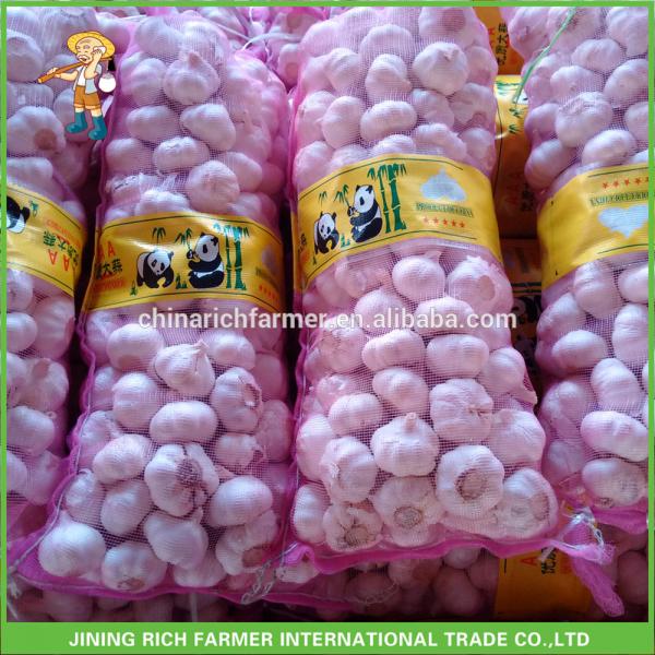 Rich Farmer Brand Fresh Garlic For Sale #1 image