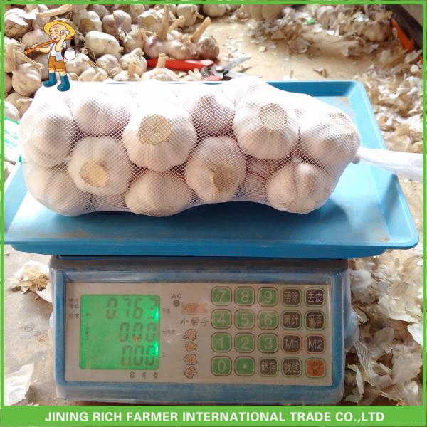 2017 New Top Quality Fresh Purple Garlic Mesh Bag In Carton For Exporter #3 image