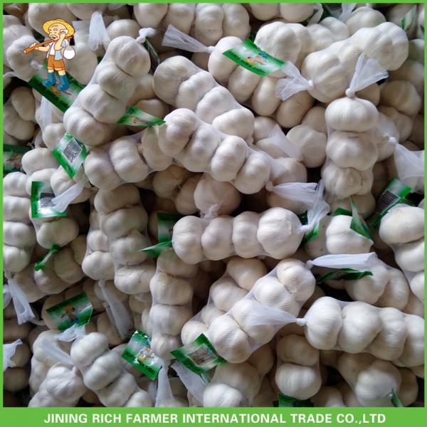 2017 New Crop Fresh Snow White Garlic Mesh Bag In Carton For Sale #5 image