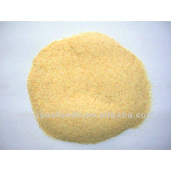 Dehydrated garlic granules #1 image