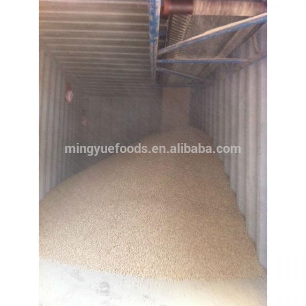 CHINA sweet potato flour pellets feed grade #1 image