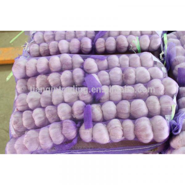 Cold Storage Red Garlic 250g/bag, 5kg/mesh bag #1 image