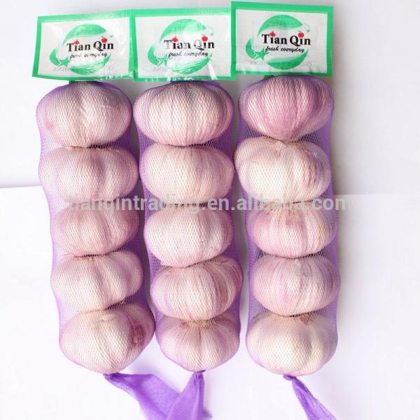 2014 Nature Fresh Garlic #1 image