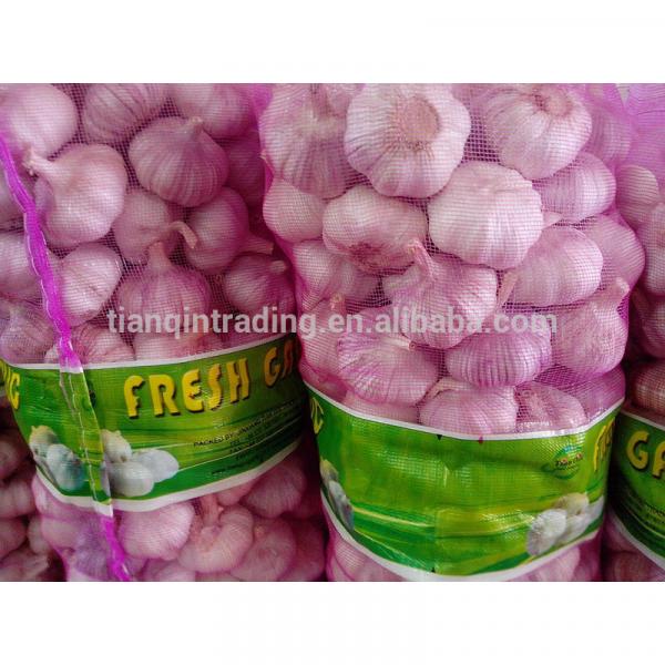 China Cheap Garlic, 10kg/bag or 20kg/bag #1 image