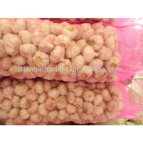 Chinese Jinxiang 2014 New Garlic Rate #1 image