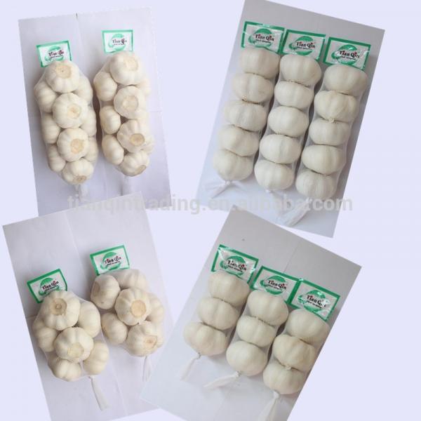 2014 New Garlic Rate #1 image