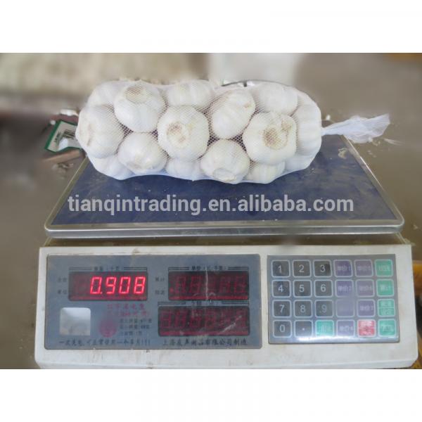 2014 New Crop Small Package Garlic for Sale, 1kg/bag #1 image