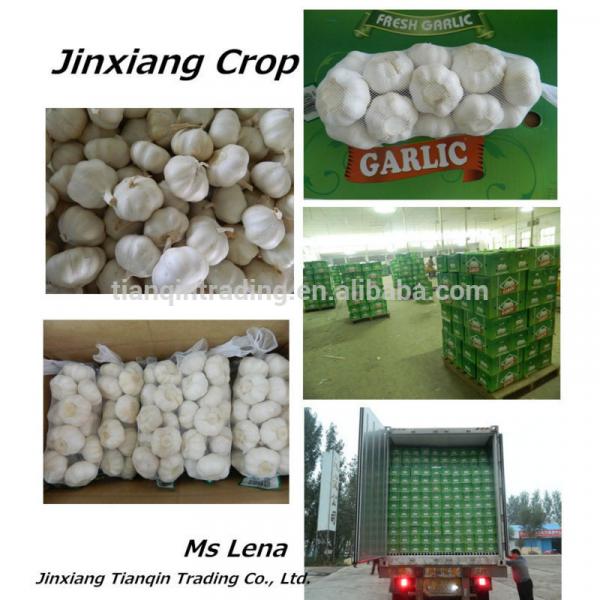 Small Package Garlic for Sale,2014 Jinxiang Crop #1 image