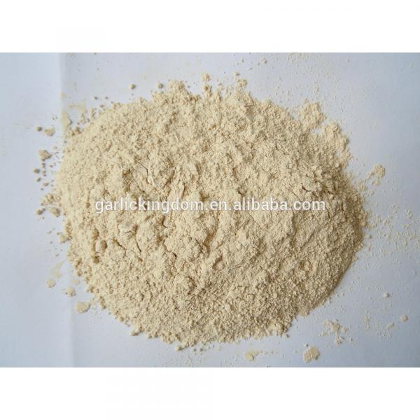 Sell Garlic powder/ Dehydrated garlic powder/Dried garlic powder #1 image