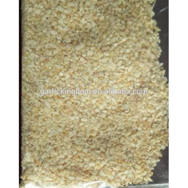 Garlic granules/ Dehydrated garlic granules/Dried garlic granules #1 image