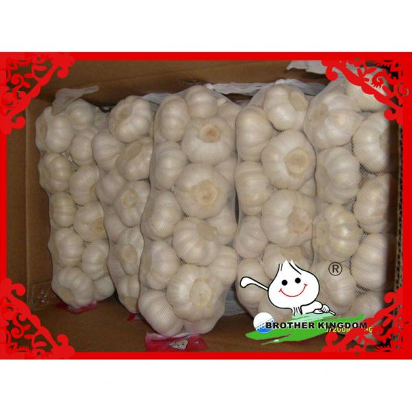 White pure garlic/ normal white garlic/fresh garlic #1 image