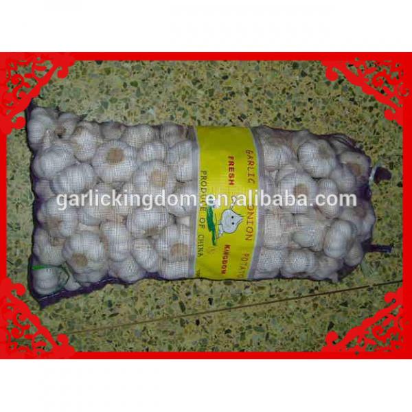 Wild Garlic/Wholesale garlic/White small garlic #1 image