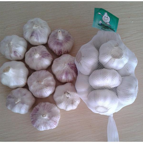 Purple garlic/Fresh garlic/Garlic price per ton from China #2 image