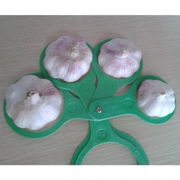 Purple garlic/Fresh garlic/Garlic price per ton from China #3 image