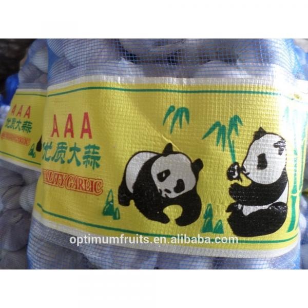 cina harga bawang putih #1 image