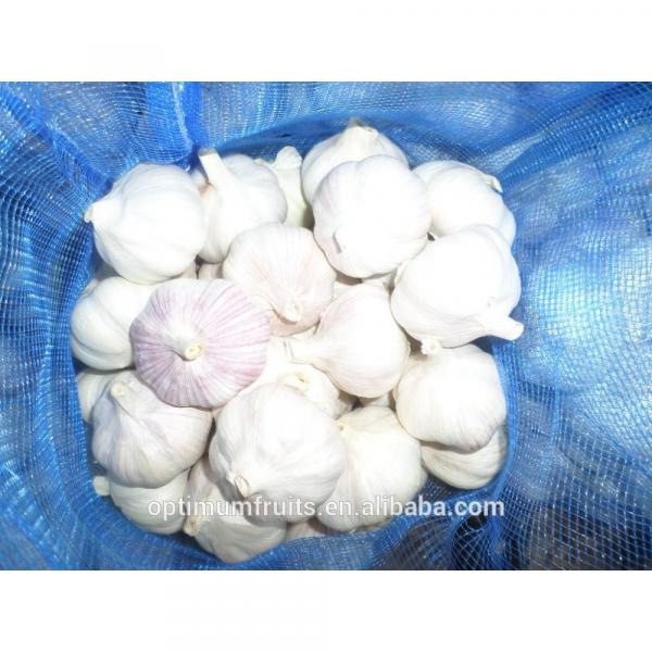 cina harga bawang putih #2 image