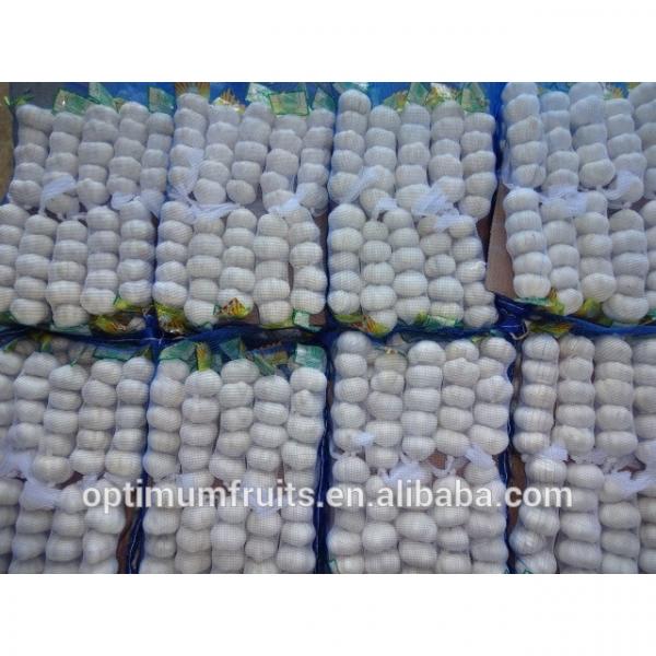 Global GAP CERTIFICATION Chinese fresh white garlic for sale #3 image