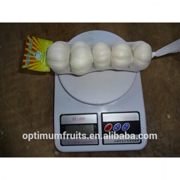 China high quality fresh garlic with competitive price #3 image