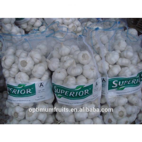 China fresh garlic ajo /alho/ail price per ton #4 image